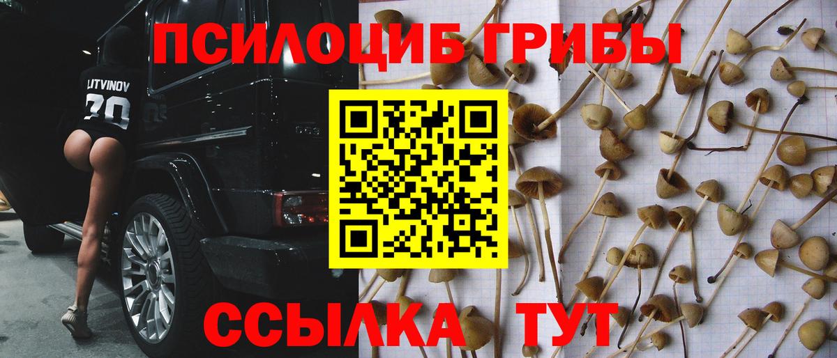 Галлюциногенные грибы MAGIC MUSHROOMS Лесозаводск