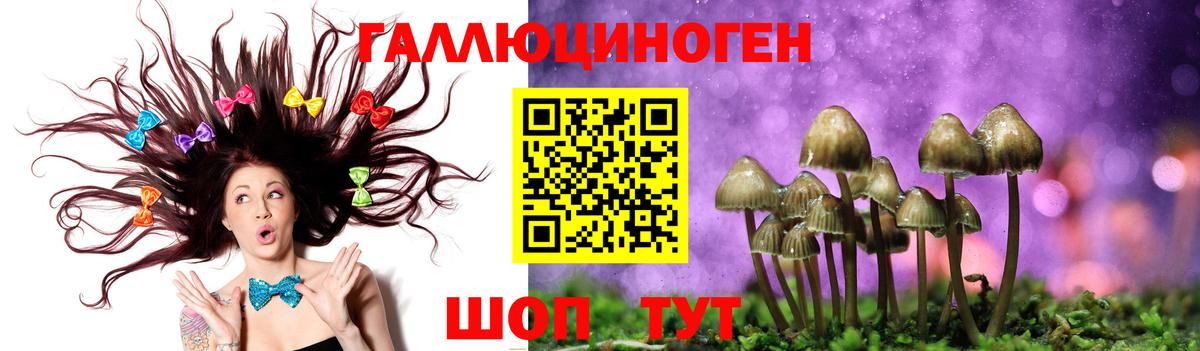 Лесозаводск  Псилоцибиновые грибы Psilocybe  Псилоцибиновые грибы Psilocybe  дарнет шоп  Вход с VPN 